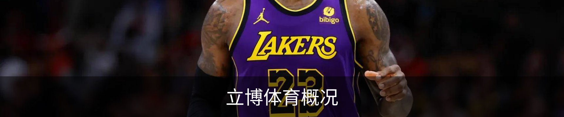 内页banner